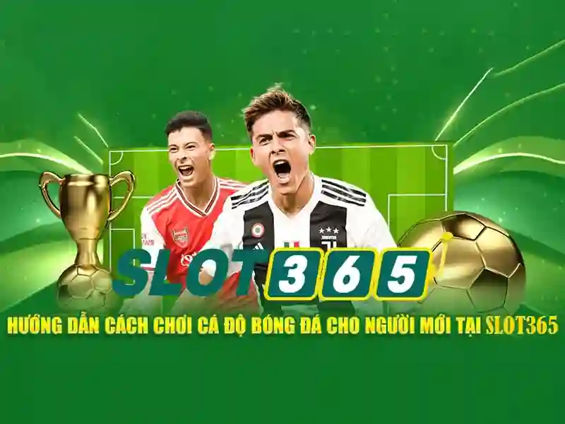 Slot365 - Nền tảng Slot phổ biến