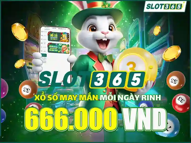 Giao diện và trải nghiệm người dùng