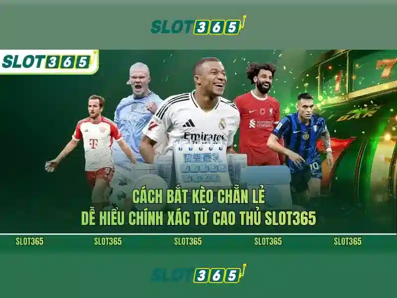 Slot365 là gì và tại sao nổi bật