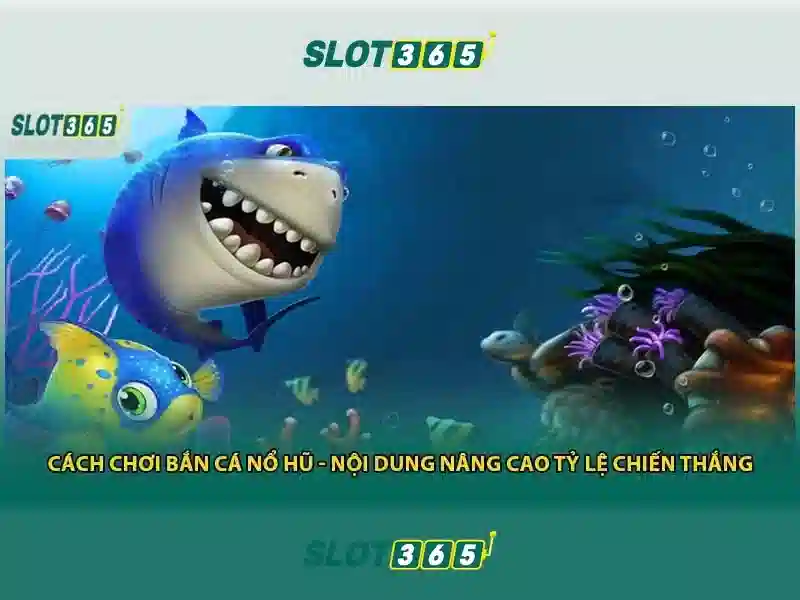 Hỗ trợ khách hàng 24/7