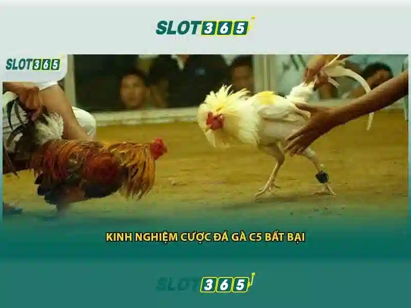 An toàn và thanh toán tại Slot365