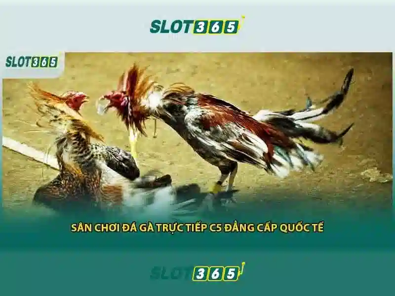 Tính năng nổi bật của Slot365