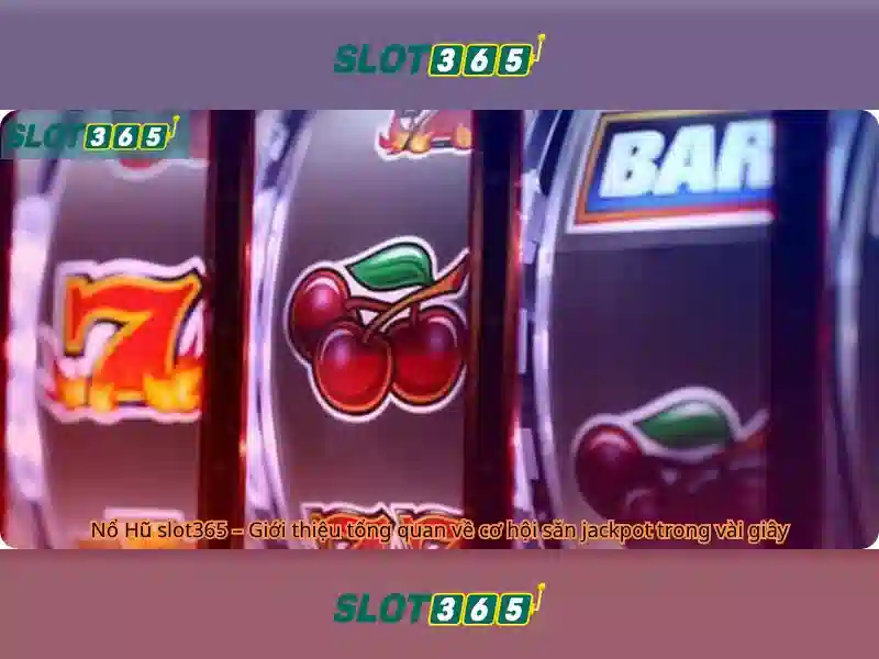 Slot365 và trải nghiệm giải trí trực tuyến