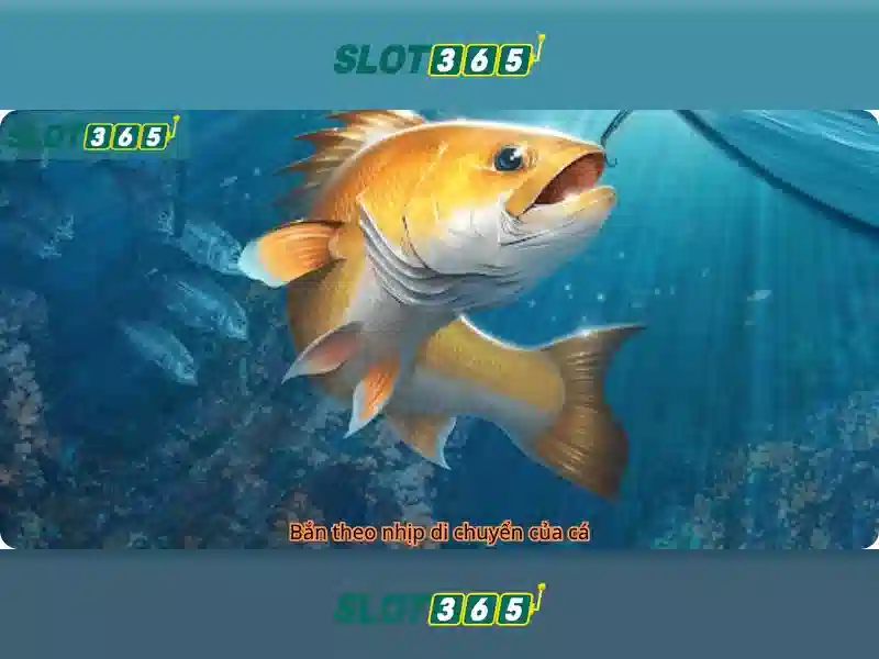 Trải nghiệm người dùng và giao diện