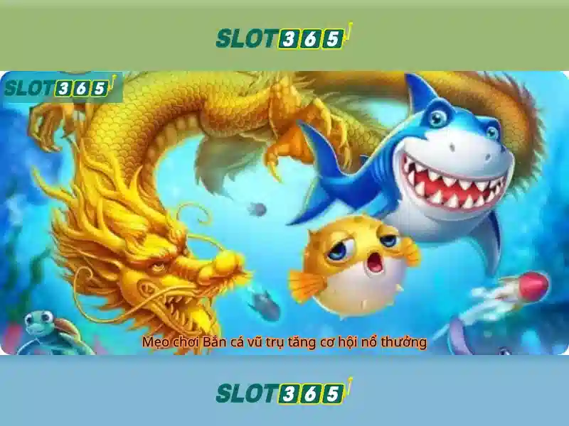 Slot365 là gì?