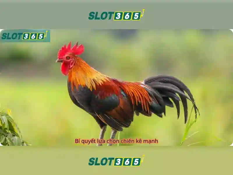 Giao diện người dùng dễ sử dụng