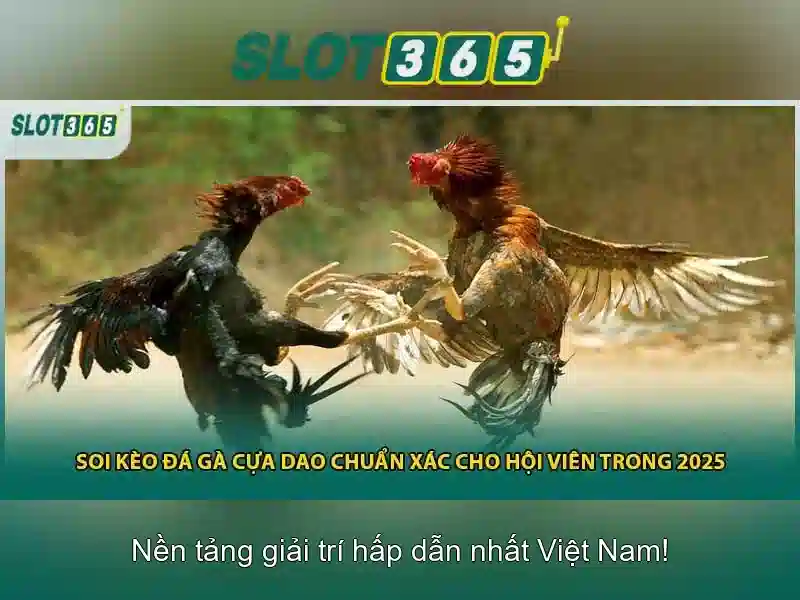 Hướng dẫn bắt đầu