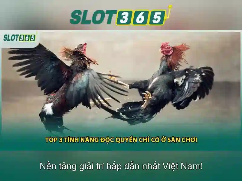 An toàn và bảo mật cho người chơi