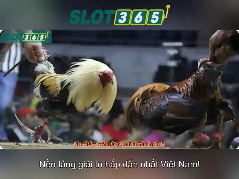 Hướng dẫn tham gia Slot365