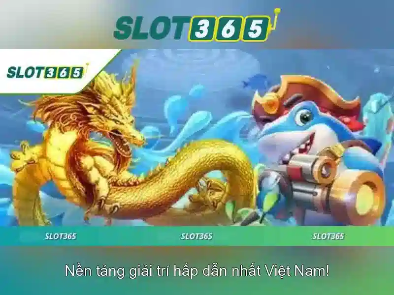 Cấu hình và trải nghiệm người dùng
