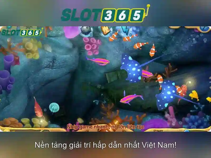 An toàn và thanh toán