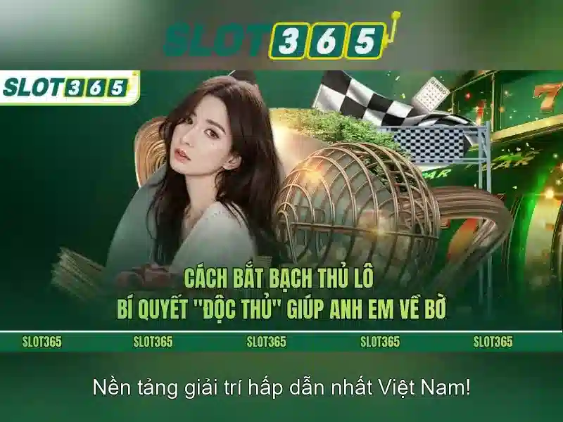 Khuyến mãi và chương trình thành viên