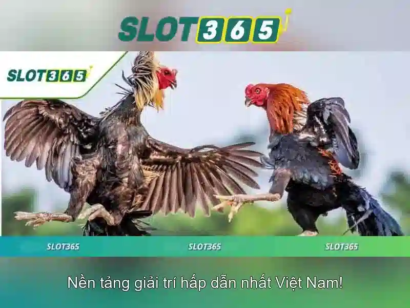 Đánh giá Slot365: An toàn, công bằng và ưu đãi