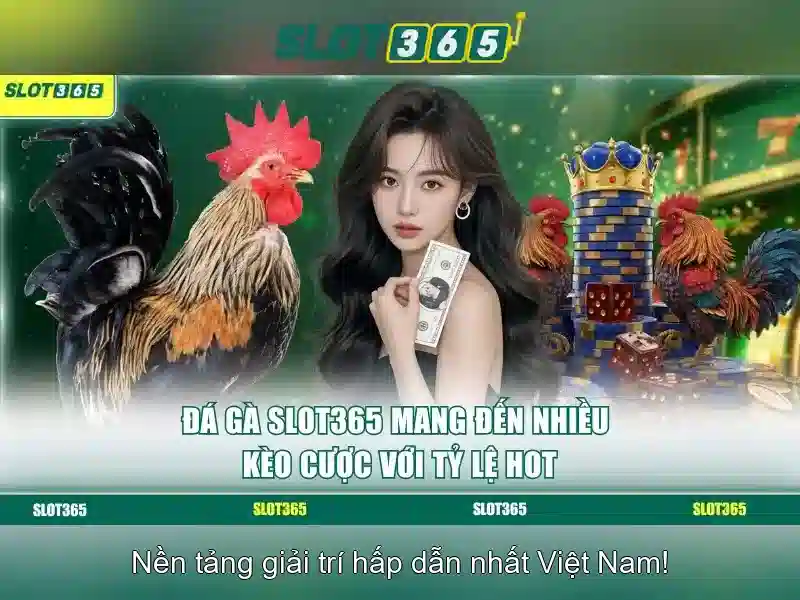 Trải nghiệm người dùng và giao diện