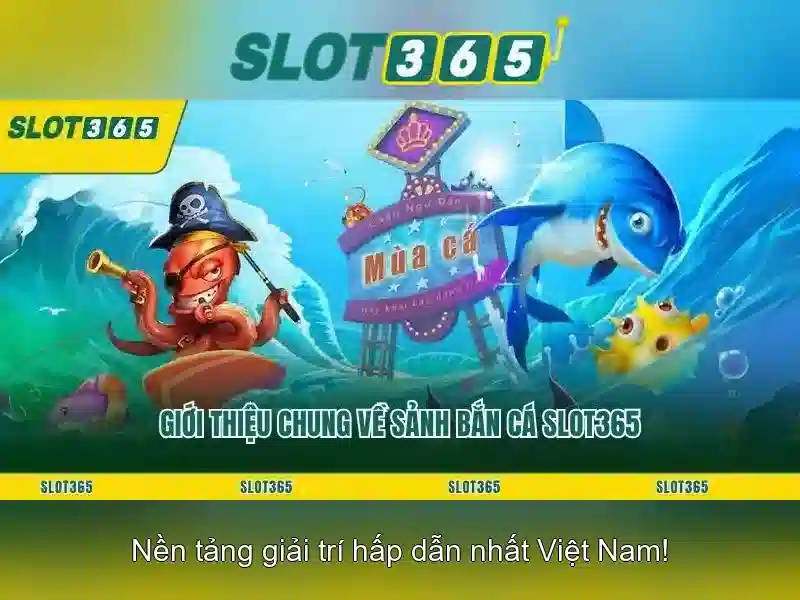Khuyến mãi, thanh toán và an toàn