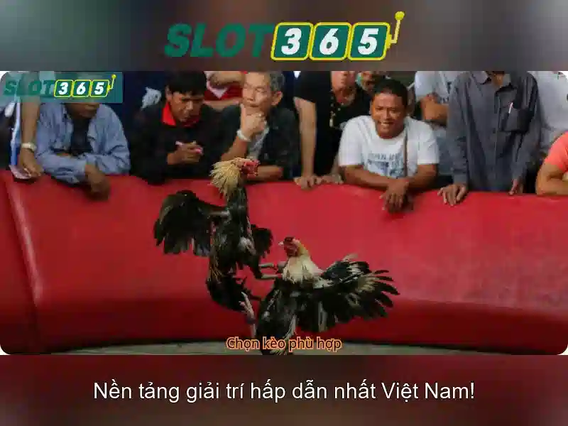Slot365 là một nền tảng giải trí trực tuyến