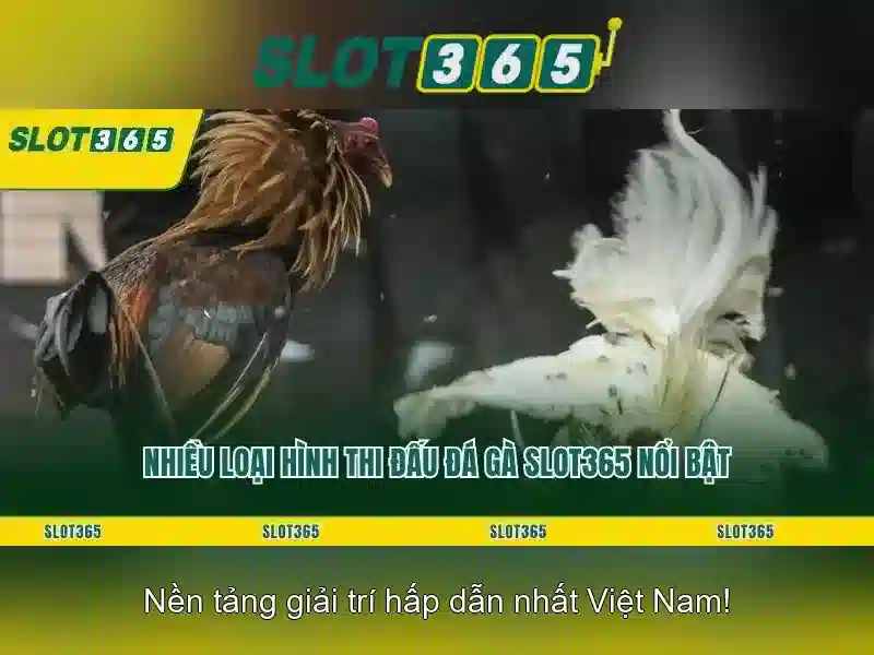 Kết luận về Slot365