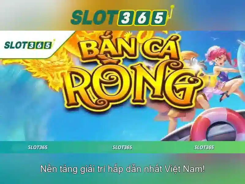 Slot365 overview and interface 