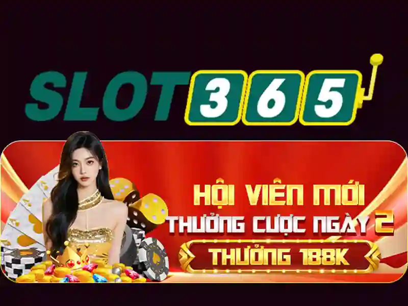 Giao diện người dùng và khả năng tối ưu hóa trên thiết bị di động
